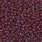 Miyuki 8 Round Seed Bead, 8-313, Cranberry Gold Luster, 10 grams
